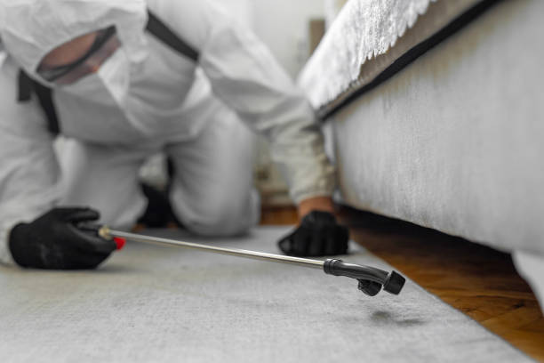 Professional Pest Control technician working in Brookhaven, PA